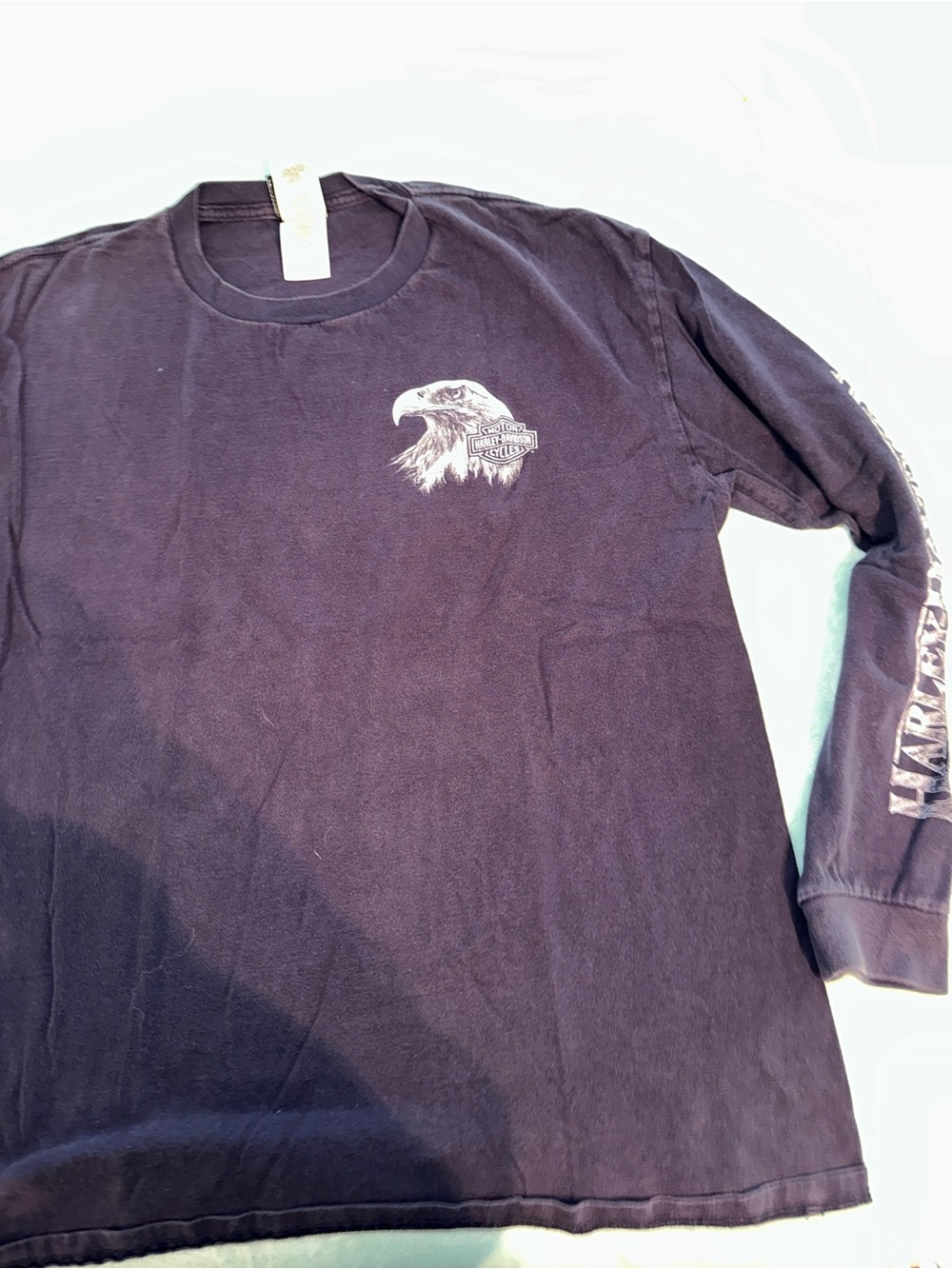 Harley-Davidson Black Long-Sleeve Eagle Graphic Tee